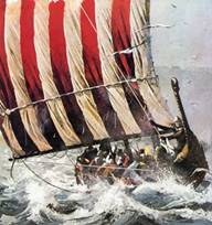 Copy of Vikings_illustration[1].jpg