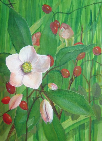 exercice 1, Franoise, 2006