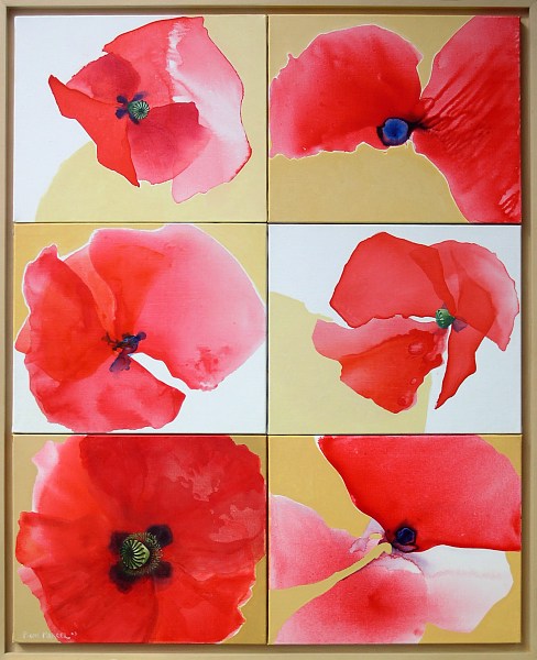 composition coquelicots