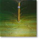 Having spent 15 years already in Miami, I cannot be insensitive on Cuban issues