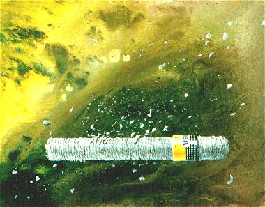 Fidel Castro for the eternity